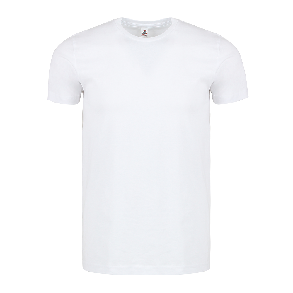 Custom T-shirt 501 (Bulk)
