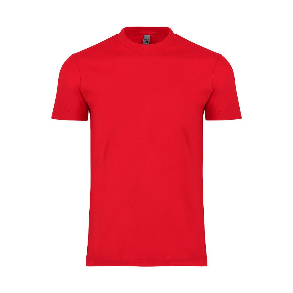 Heavy Cotton T-shirt 1200  (Bulk)