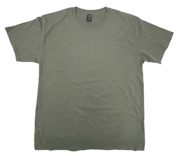 Custom T-Shirt (RTP1600)